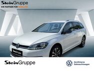 VW Golf Variant, 1.0 TSI Golf VII IQ DRIVE FLA, Jahr 2020 - Gummersbach