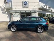 VW Tiguan, 2.0 TDI ACTIVE, Jahr 2022 - Pasewalk