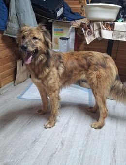 Super Lissa kann dein Leben bereichen - Augsburg