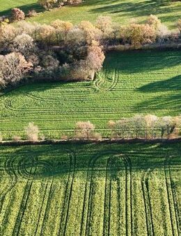 2 Hektar Möglichkeiten - Sanierungsobjekt mit Potenzial! - Krumstedt