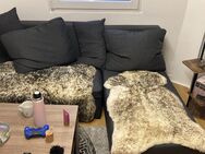Schlafsofa zu verkaufen 130€ VHB - Flensburg Innenstadt