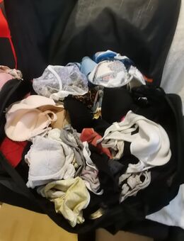 Unterwäsche slip bhs nylon Strümpfe - Wiesbaden