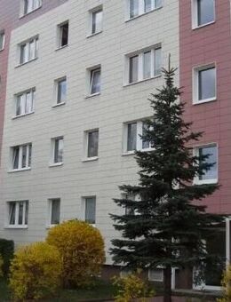 Wohnung mit Wohlfühlcharakter und unverstelltem Blick in die Natur - Bernau (Berlin)