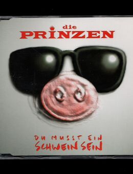 Die Prinzen - Du musst ein Schwein sein 1995 - Nürnberg