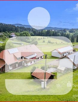 "Pferdehof" mit drei Wohneinheiten in Alleinlage - 52.000 qm Grünfläche direkt am Gebäude - Rickenbach