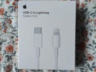 Apple USB-C zu Lightning Kabel - Stralsund
