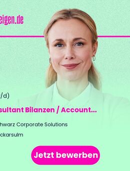 Consultant (m/w/d) Bilanzen / Accounting Principles - Neckarsulm