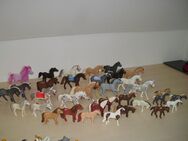 Playmobil ca 35 neuere Pferde - Everswinkel