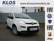 Fiat Panda, 1.0 HYBRID GSE 70PS CITY PAKET, Jahr 2024 - Koblenz