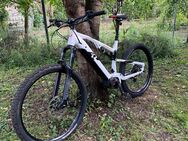 E-Bike Raymon TrailRay 140 E7.0 - Grenzach-Wyhlen