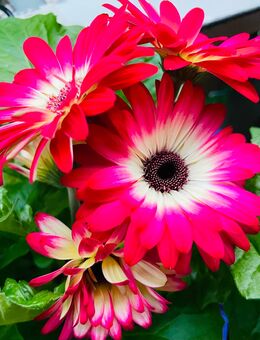 Suche nette Bekanntschaften - Essen Zentrum