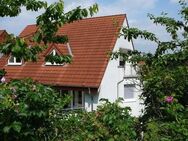 ***** Attraktive Studiowohnung in der Oerlinghauser Altstadt! ***** - Oerlinghausen