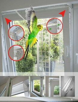 Kippfensterschutz für Vögel von austmetall, OHNE BOHREN OHNE KLEBEN, System 4 + Welli-Zubehöhr - Haan