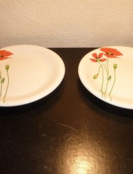 2 Speiseteller Mohnblumenmotiv - Frankfurt (Main)