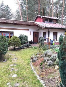 Wochenend-und Haus, Sauna, Werkstatt, Wald, Hauswasser und Pool.... - Bad Düben
