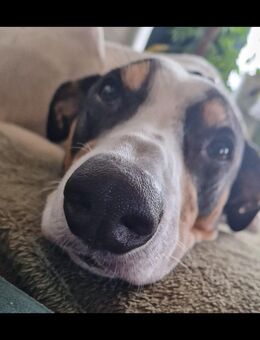 Heey darf ich mich vorstellen? - Kamp-Lintfort