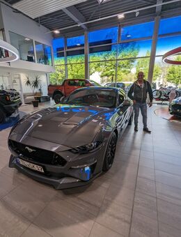 Er sucht sie, eine süsse Ehrliche Maus. - Dresden