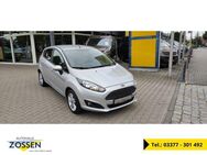 Ford Fiesta Trend 1.0 EcoBoost Winter-Paket LMR - Zossen