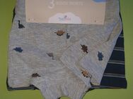 Boxershorts 86/92 - Aken (Elbe)