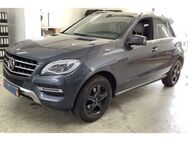 Mercedes-Benz ML 350 CDI BlueTec Airmatic AHK Standheiz. Pa - Cadolzburg