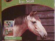 Pferd & Pony im Stall; Das große Spielepaket für Ross & Reiter, neu; Pferde-Quiz, neu; DVD: Mein Pferd - alles was Du über Pferde wissen musst !; Wendy - Ein Turnier mit Hindernissen; Reiten lernen, aber richtig !, neu; Lauras Tierklinik, neu - München