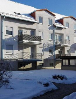 Gepflegte 2-Zimmer Wohnung im Grünen mit EBK, Balkon, Keller und TG-Stellplatz - Glauchau