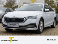 Skoda Octavia Combi 2.0 TDI STYLE LM17 COLUMBUS HEAD-UP ACC - Werdohl