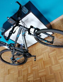 Fahrrad Mountainbike - Essen
