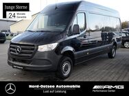 Mercedes Sprinter, 317 L3H2 Holzboden, Jahr 2023 - Heide