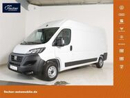 Fiat Ducato, 140PS L4H2 Kastenwagen, Jahr 2024 - Pilsach