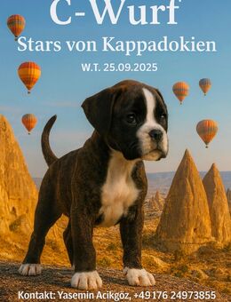 Stars von Kappadokien - Krumbach (Schwaben)