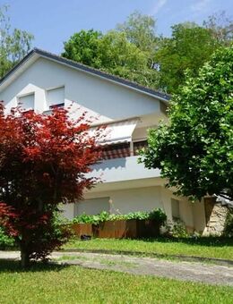 Zweifamilienhaus in unverbaubarer Aussichtslage - ein Traum für jede Familie - Grenzach-Wyhlen