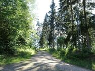 Freistehendes Ferienhaus auf eigenem Waldgrundstück - Blankenheim (Nordrhein-Westfalen)