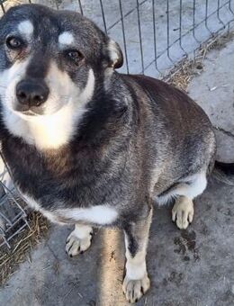 ELEANA - -super gute Laune - Weilheim (Oberbayern)