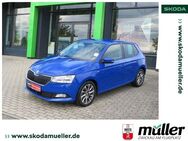 Skoda Fabia Clever RFK KESSY GRA SmartLink PDC - Zwickau