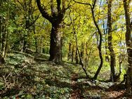 Freundschaft für wandern und mehr - Aachen