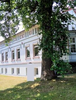 Großzügige, sanierte Wohnung in Porta Westfalica - Porta Westfalica
