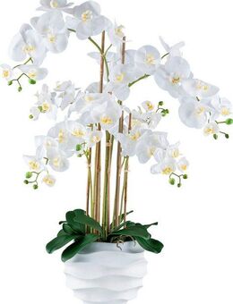 Kunstorchidee Orchidee Phalaenopsis, Creativ green, Höhe 90 cm, im Design-Topf