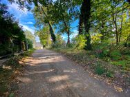 Steilhang in Kalkseenähe zu verkaufen - Woltersdorf (Brandenburg)