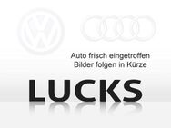 VW Crafter, 2.0 TDI Kasten, Jahr 2023 - Artern (Unstrut)