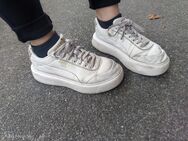 Schuhe zu verkaufen - Hannover