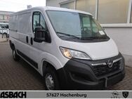 Opel Movano, C Cargo L2H1, Jahr 2024 - Hachenburg