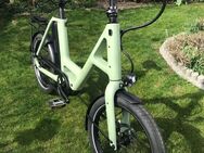 i:SY Skyfly E5 ZR F 545W leicht grün - Bad Homburg (Höhe)