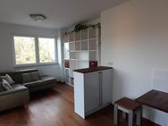 Aufschließen... Licht einschalten... Wohnen! Penthouse exklusiv möbliert mit 2 Dachterrassen in bester Lage in Zirndorf-Weiherhof - Zirndorf