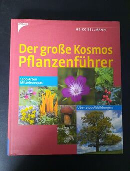 Der große Kosmos PFLANZENFÜHRER v. H. Bellmann | gebunden - Essen