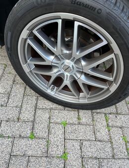 Borbet Felgen 5x 114.3 /20 Zoll - Herzberg (Harz)
