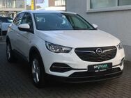 Opel Grandland X Hybrid - Hachenburg