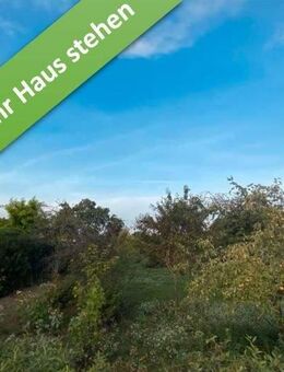 Mit Grundstück, das flexible Massivhaus "FürDich" in Wipshausen. - Edemissen