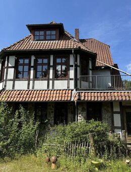 großes Wohnhaus mit Stall und Werkstattgebäuden, 7600qm Grundstück, überwiegend bebaubar - Munster