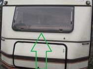 Hymer Wohnwagenfenster Birkholz gebr. ca 136,35 x 63,3 (zB Hymer Nova 530 BJ87) D512 Sonderpreis Steinschlag (Bugfenster) - Schotten Zentrum